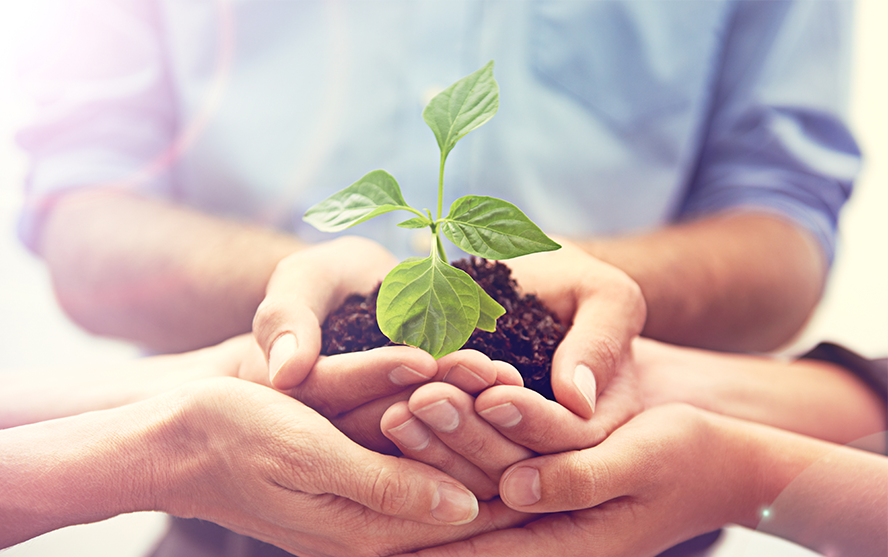 Mehrere Hände halten gemeinsam eine kleine Pflanze mit frischer Erde, als Symbol für Nachhaltigkeit und gemeinsames Engagement.